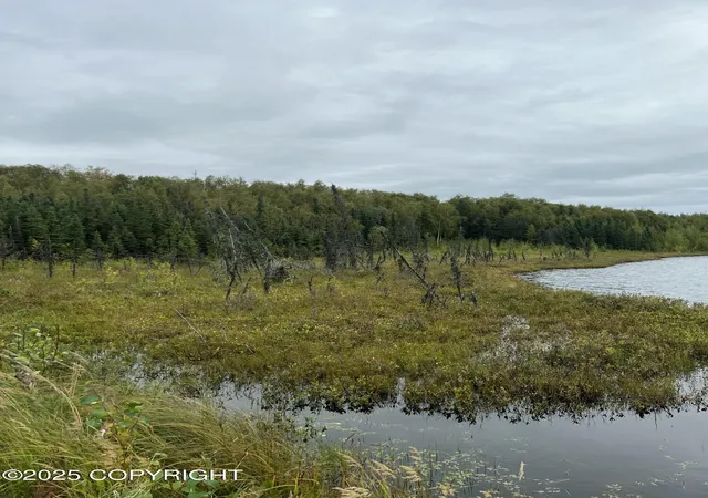 Photo 4 of Land for sale at Nhn W Hollywood Rd, Wasilla, AK 99654 | MLS# 25-11333 | Listing updated on 2025-09-09