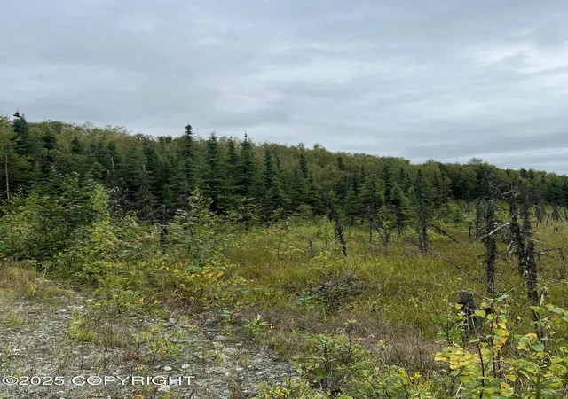 6th image of Nhn W Hollywood Rd, Wasilla, AK 99654 | MLS# 25-11333