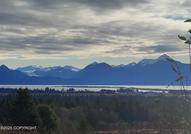 Homes for sale in Homer, AK | 4550 Craftsman Rd, Homer, AK 99603 | MLS# 25-9275