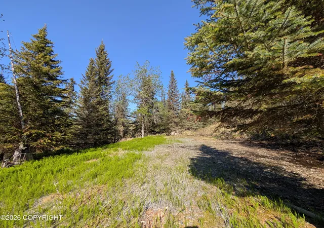 Photo 3 of Land for sale at 73470 Ann Ct, Anchor Point, AK 99556 | MLS# 26-8378 | Listing updated on 2026-10-02