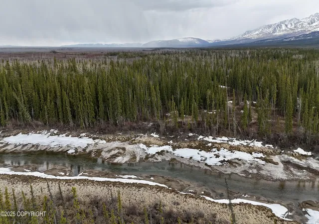 Photo 3 of Land for sale at 13276 B2 Alaska Hwy, Tok, AK 99780 | MLS# 25-10157 | Listing updated on 2026-08-15
