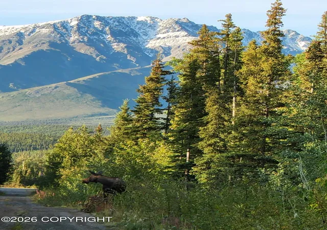 50th image of 13276 B5 Alaska Hwy, Tok, AK 99780 | MLS# 25-10161