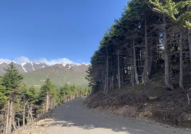 2nd image of L2 Paine Cir, Anchorage, AK 99516 | MLS# 25-10562
