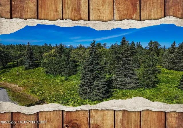 Photo 1 of Land for sale at 15422 Tovarish Rd, Ninilchik, AK 99639 | MLS# 25-10947 | Listing updated on 2026-07-06