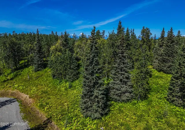 Photo 2 of Land for sale at 15422 Tovarish Rd, Ninilchik, AK 99639 | MLS# 25-10947 | Listing updated on 2026-07-06