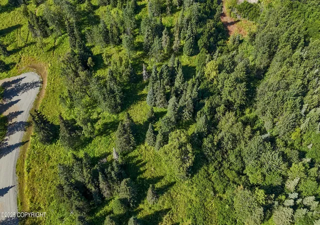 Photo 3 of Land for sale at 15422 Tovarish Rd, Ninilchik, AK 99639 | MLS# 25-10947 | Listing updated on 2026-07-06