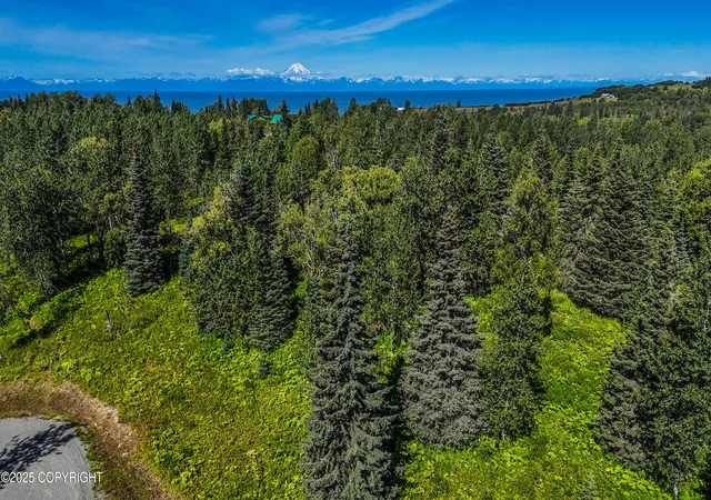 Photo 4 of Land for sale at 15422 Tovarish Rd, Ninilchik, AK 99639 | MLS# 25-10947 | Listing updated on 2026-07-06