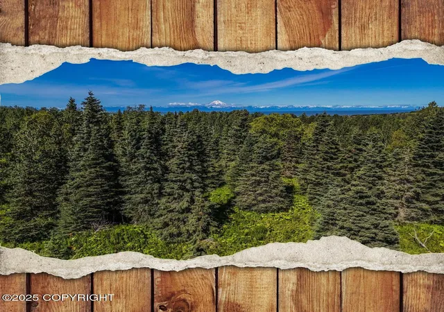 Photo 1 of Land for sale at 15466 Tovarish Rd, Ninilchik, AK 99639 | MLS# 25-10948 | Listing updated on 2026-07-06