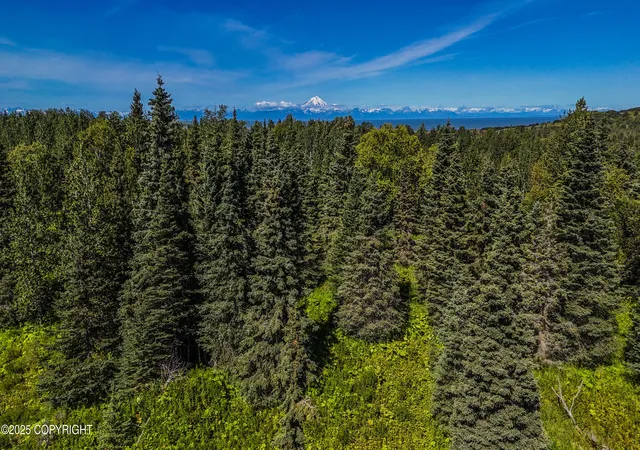 Photo 2 of Land for sale at 15466 Tovarish Rd, Ninilchik, AK 99639 | MLS# 25-10948 | Listing updated on 2026-07-06