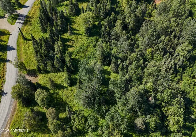 Photo 3 of Land for sale at 15466 Tovarish Rd, Ninilchik, AK 99639 | MLS# 25-10948 | Listing updated on 2026-07-06