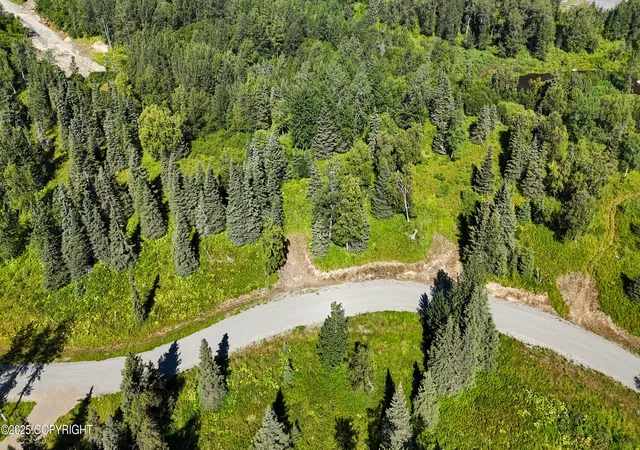 Photo 5 of Land for sale at 15466 Tovarish Rd, Ninilchik, AK 99639 | MLS# 25-10948 | Listing updated on 2026-07-06