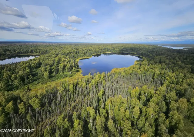 Photo 4 of Land for sale at Tr A-b Asls 74 15, Willow, AK 99688 | MLS# 25-10937 | Listing updated on 2026-08-27