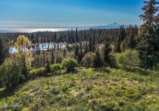 Homes for sale in Homer, AK | 40285 Sterling Hwy, Homer, AK 99603 | MLS# 25-10840