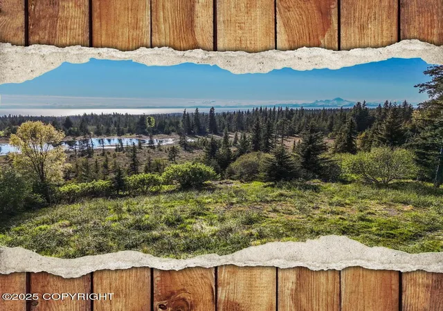 Homes for sale in Homer, AK | 40285 Sterling Hwy, Homer, AK 99603 | MLS# 25-10840