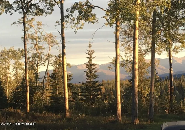 Photo 3 of Single family home for sale at 1210 Hudson Rd, Healy, AK 99743 | MLS# 25-11022 | Listing updated on 2026-09-23