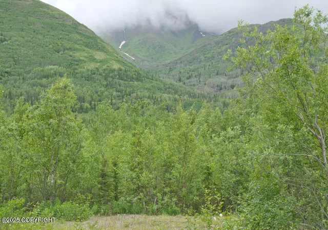 Homes for sale in Chugiak, AK | Mile 7 Eklutna Lake Rd, Chugiak, AK 99567 | MLS# 25-11726