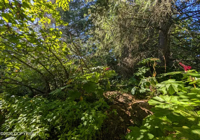 Photo 3 of Land for sale at 421 Soundview Ave, Homer, AK 99603 | MLS# 25-11542 | Listing updated on 2026-10-21