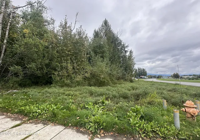 Photo 3 of Land for sale at C021 S Valley Way, Palmer, AK 99645 | MLS# 25-11595 | Listing updated on 2026-08-05