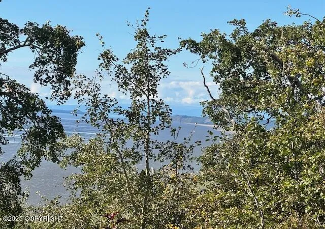 Photo 3 of Sale Pending at Nhn Potter View Cir, Anchorage, AK 99516 | MLS# 25-11875 | Listing updated on 2025-11-05