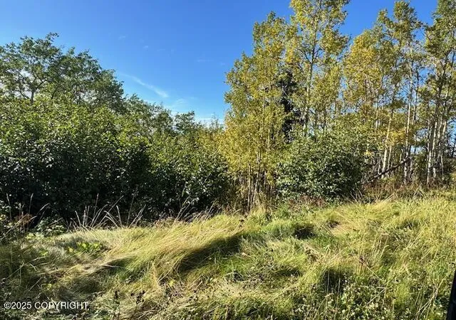 Photo 5 of Sale Pending at Nhn Potter View Cir, Anchorage, AK 99516 | MLS# 25-11875 | Listing updated on 2025-11-05