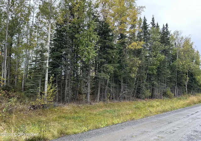 3rd image of 48425 Sterling Hwy, Soldotna, AK 99669 | MLS# 25-11996