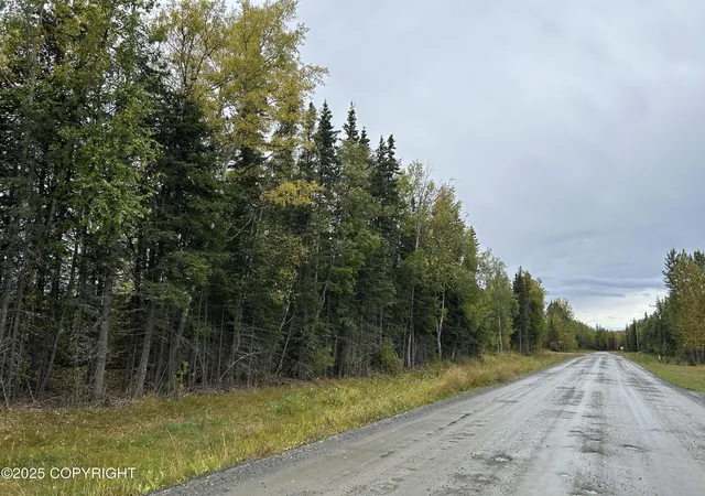 4th image of 48425 Sterling Hwy, Soldotna, AK 99669 | MLS# 25-11996