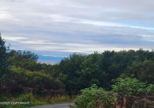 Photo 3 of Land for sale at 17338 Tidal Knoll Rd, Ninilchik, AK 99639 | MLS# 25-12238 | Listing updated on 2026-10-01