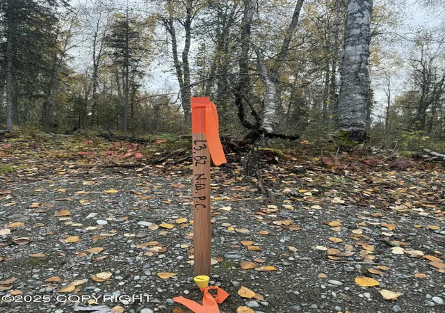 2nd image of L3 S Lupine Cir, Talkeetna, AK 99676 | MLS# 25-12293