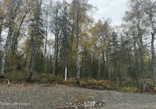 3rd image of L3 S Lupine Cir, Talkeetna, AK 99676 | MLS# 25-12293