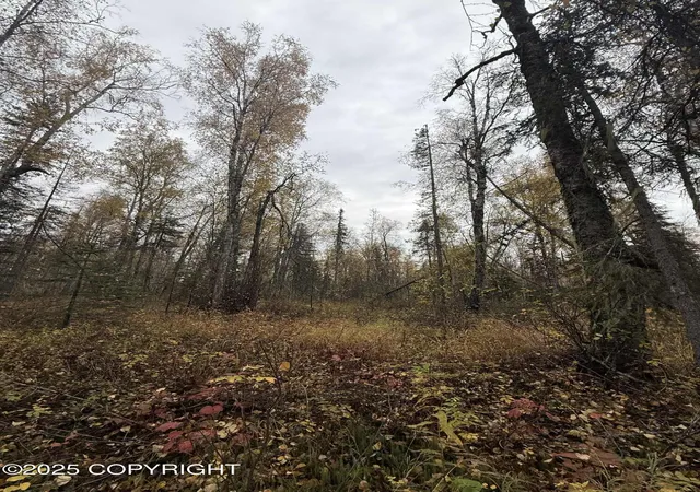 4th image of L3 S Lupine Cir, Talkeetna, AK 99676 | MLS# 25-12293