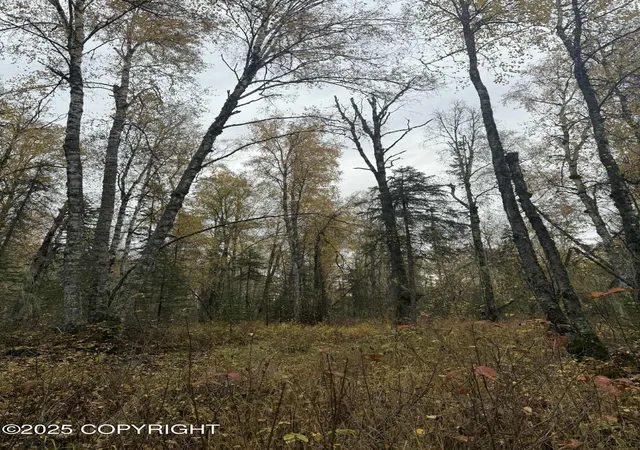 5th image of L3 S Lupine Cir, Talkeetna, AK 99676 | MLS# 25-12293