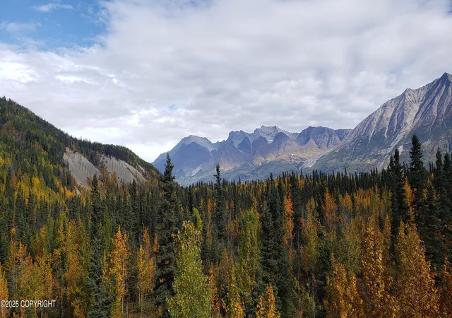 27th image of Mile 59 Mccarthy Rd, Chitina, AK 99566 | MLS# 25-12382