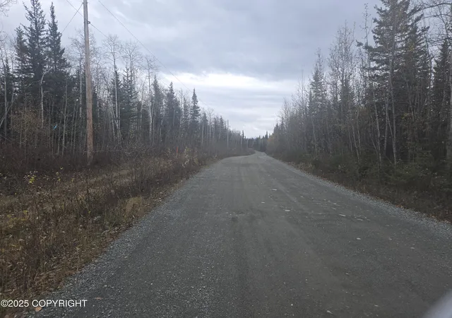 Photo 3 of Land for sale at L3 B1 Brenden Blvd, Copper Center, AK 99573 | MLS# 25-12617 | Listing updated on 2026-09-18