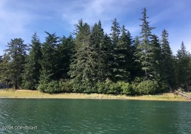 1st image of Lot 13 Keene Channel, Petersburg, AK 99833 | MLS# 25-12568