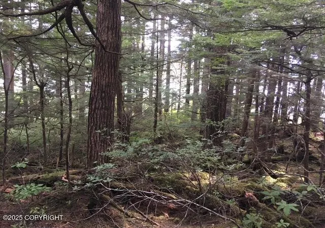 5th image of Lot 13 Keene Channel, Petersburg, AK 99833 | MLS# 25-12568