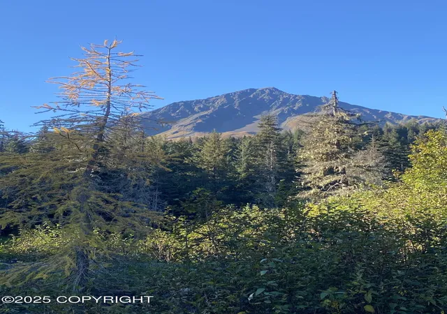 Homes for sale in Seward, AK | L5A-3 Maximilian Dr, Seward, AK 99664 | MLS# 25-12807