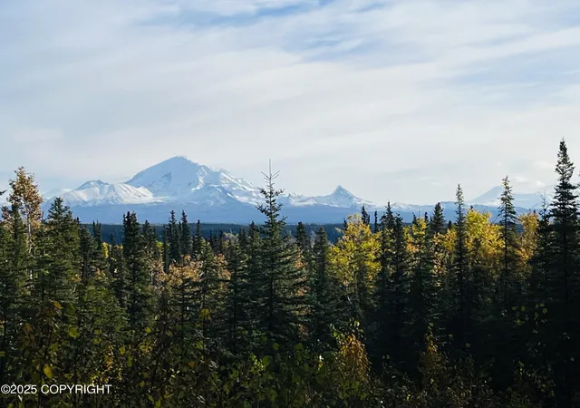 1st image of L9 B9 Tazlina Sw Sub, Copper Center, AK 99573 | MLS# 25-13115