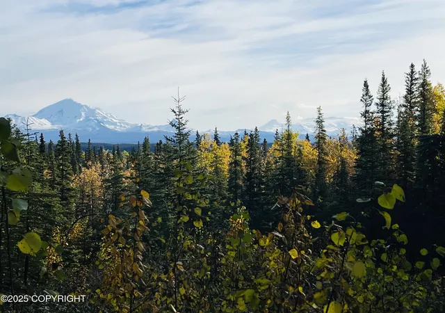 2nd image of L9 B9 Tazlina Sw Sub, Copper Center, AK 99573 | MLS# 25-13115