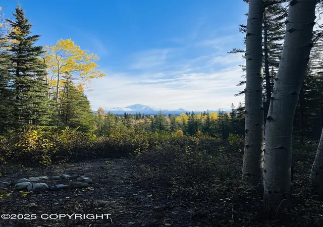 3rd image of L9 B9 Tazlina Sw Sub, Copper Center, AK 99573 | MLS# 25-13115