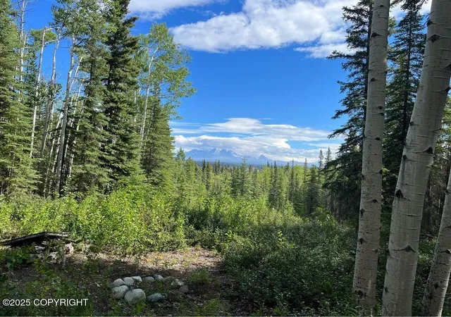 4th image of L9 B9 Tazlina Sw Sub, Copper Center, AK 99573 | MLS# 25-13115