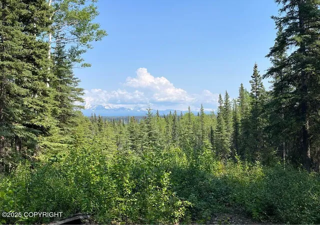 5th image of L9 B9 Tazlina Sw Sub, Copper Center, AK 99573 | MLS# 25-13115