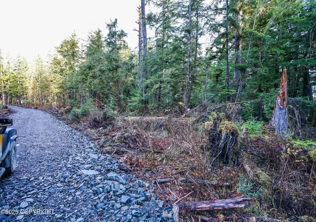 5th image of L6B2 Cedar Tree Dr, Coffman Cove, AK 99918 | MLS# 25-13324
