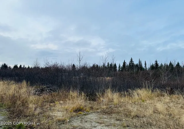 Homes for sale in Anchor Point, AK | 34191 Chapman St, Anchor Point, AK 99556 | MLS# 25-13561