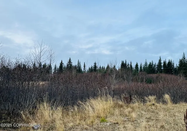 Homes for sale in Anchor Point, AK | 34191 Chapman St, Anchor Point, AK 99556 | MLS# 25-13561