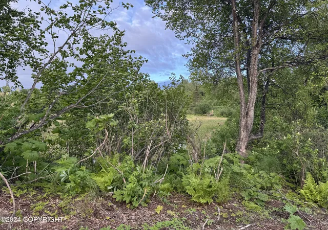 4th image of 000 Wik Rd, Nikiski/north Kenai, AK 99635 | MLS# 25-14289