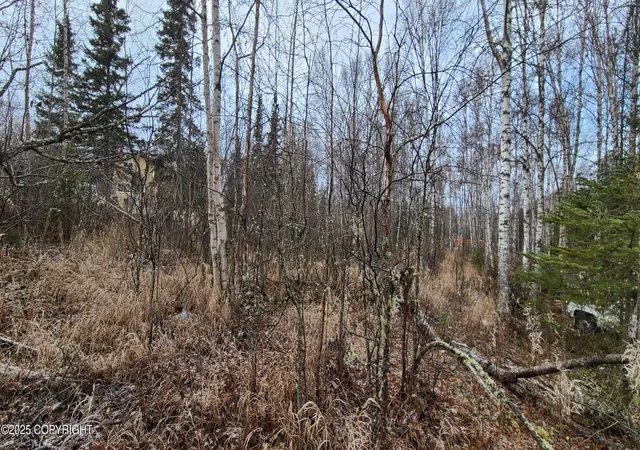 Photo 3 of Land for sale at 9111 W Sammie Cir, Wasilla, AK 99623 | MLS# 25-13680 | Listing updated on 2026-03-31