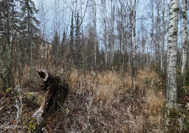 Photo 3 of Land for sale at 9111 W Sammie Cir, Wasilla, AK 99623 | MLS# 25-13680 | Listing updated on 2026-03-31