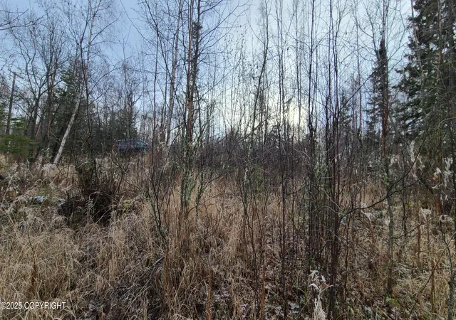Photo 4 of Land for sale at 9111 W Sammie Cir, Wasilla, AK 99623 | MLS# 25-13680 | Listing updated on 2026-03-31