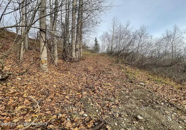 11th image of 5500 W Birch Harbor Dr, Wasilla, AK 99623 | MLS# 25-13720