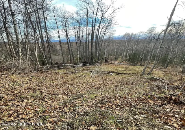1st image of 5500 W Birch Harbor Dr, Wasilla, AK 99623 | MLS# 25-13720